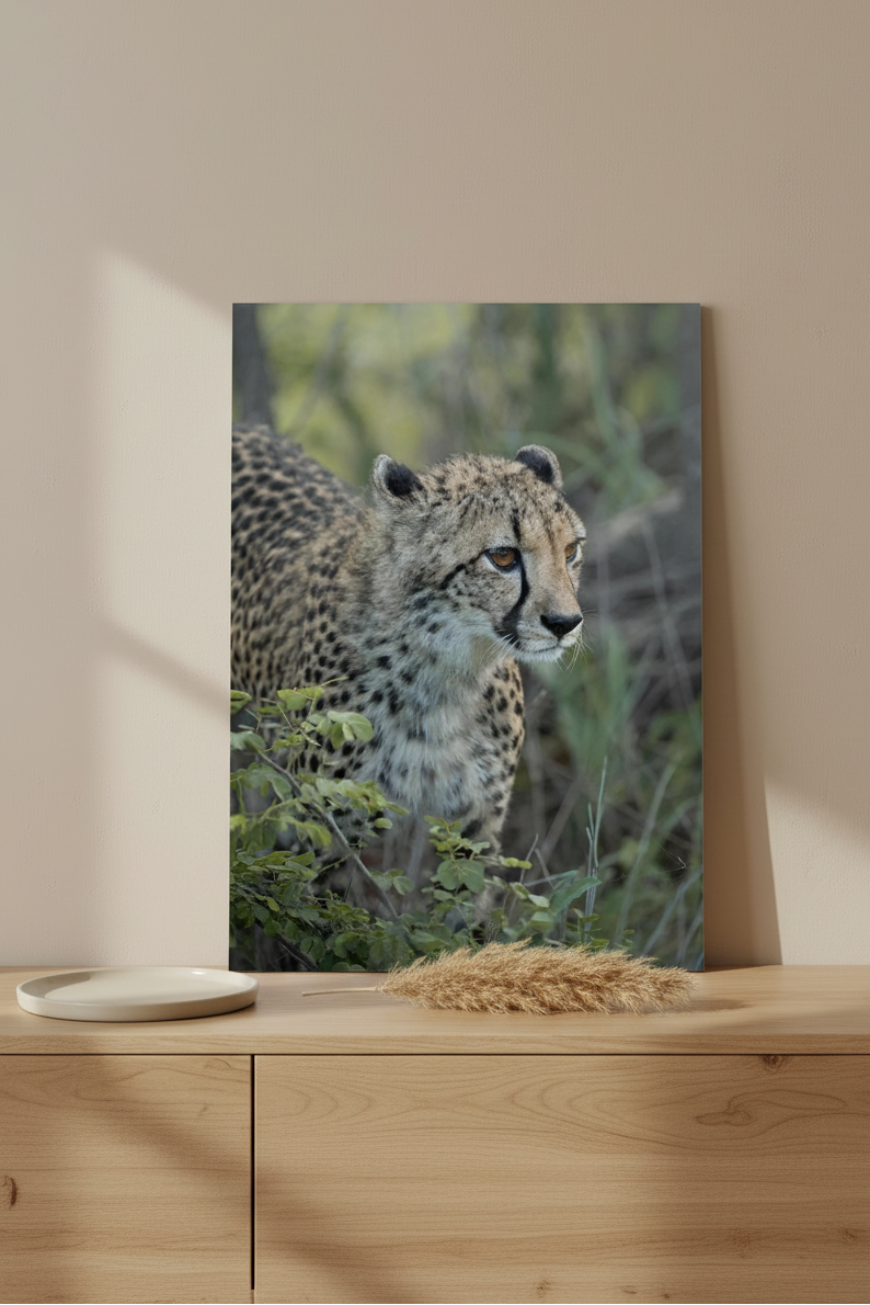 Visuel tableau aluminium portrait - Le guetteur