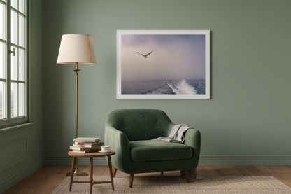 Goéland en vol au-dessus du sillage, Namibie — affiche premium encadrée « Seule sur la brume »