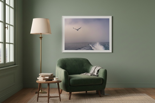 Goéland en vol au-dessus du sillage, Namibie — affiche premium encadrée « Seule sur la brume »