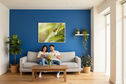 Abeille butinant une fleur, Vallon-Pont-d’Arc, Ardèche — affiche premium encadrée « La butineuse »