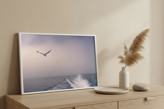 Visuel d'ambiance paysage - Seule sur la brume