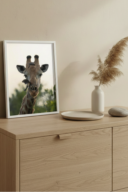 Visuel d'ambiance portrait - Alliance sauvage