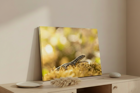Visuel d'ambiance toile paysage - Lézarder en Corse