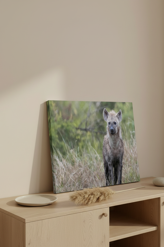 Visuel d'ambiance toile portrait - Premier regard