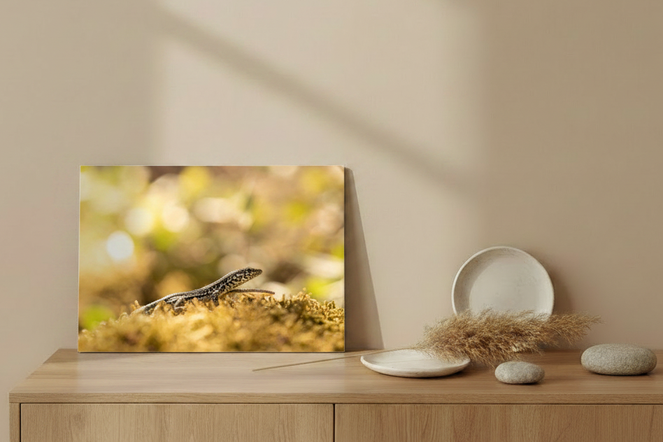 Visuel tableau aluminium paysage - Lézarder en Corse