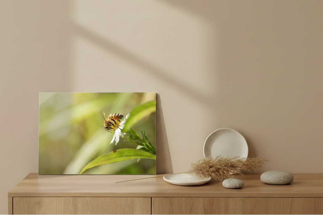 Visuel tableau aluminium paysage - La butineuse