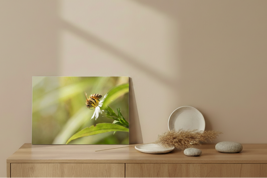 Visuel tableau aluminium paysage - La butineuse