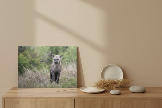 Visuel tableau aluminium paysage - Premier regard