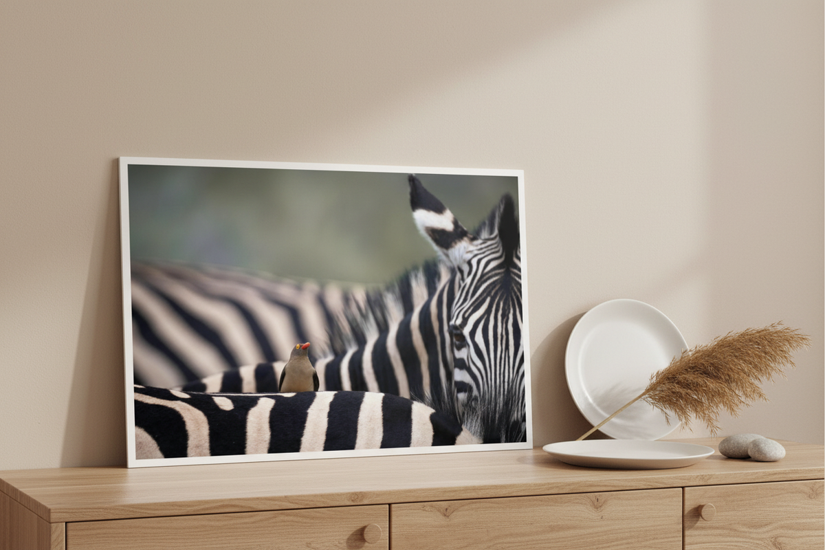 Visuel tableau aluminium paysage - Symétrie sauvage