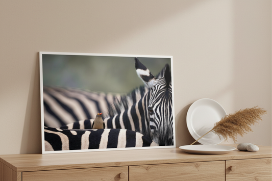Visuel tableau aluminium paysage - Symétrie sauvage