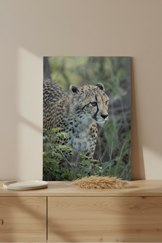Visuel tableau aluminium portrait - Le guetteur