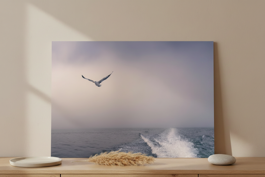 Visuel tableau aluminium sans bord blanc - Seule sur la brume